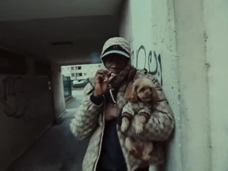 The Neighbourhood Madman